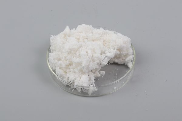 DEAE-11 cellulose