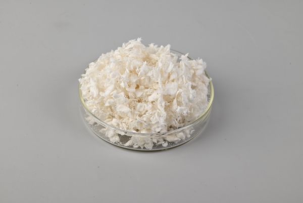 DEAE-1cellulose