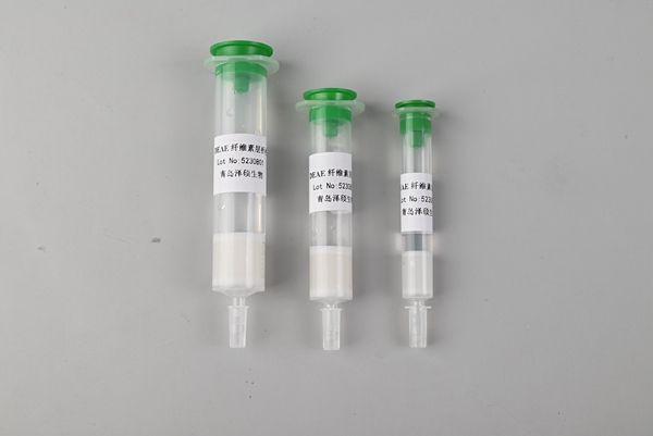 DEAE- cellulose chromatography column